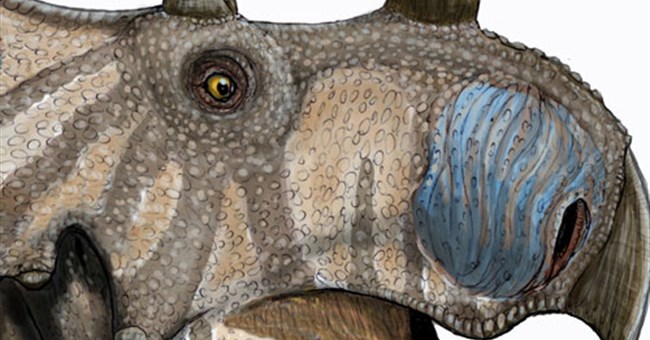 Phát hiện loài khủng long có sừng mới