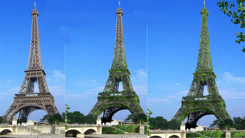 “Cây xanh khổng lồ” giữa Paris 