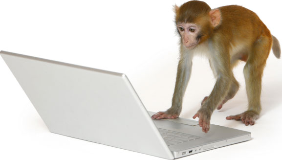 Khỉ điều khiển màn hình cảm ứng 