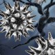 Siêu virus cúm gia cầm trở thành bom sinh học?