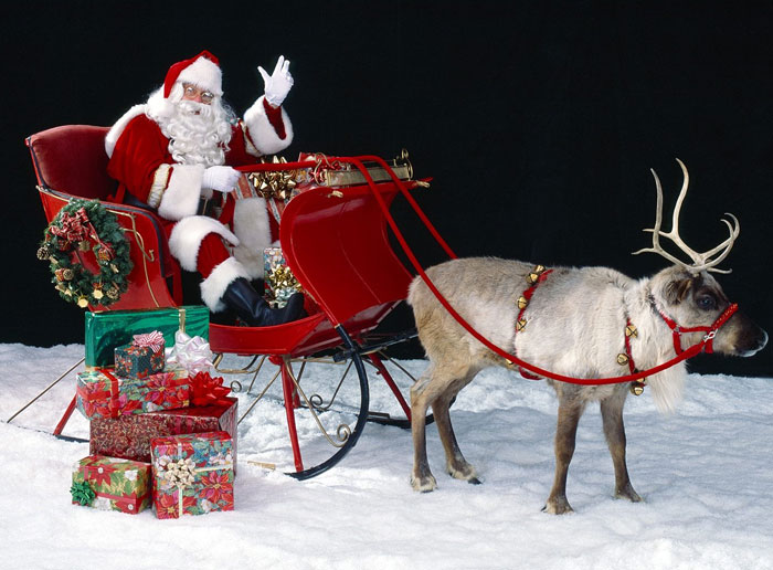 Tại sao ông già Noel lại chọn tuần lộc cái kéo xe?