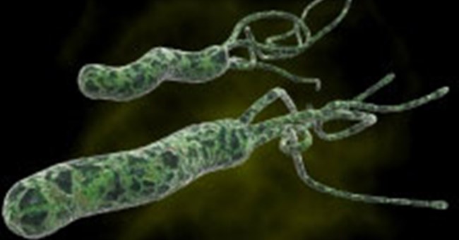 Vi khuẩn loét H. pylori có thể ngăn bệnh tiêu chảy