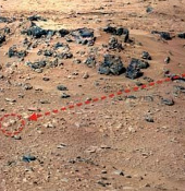 Video: Phát hiện chuột trên sao Hỏa?