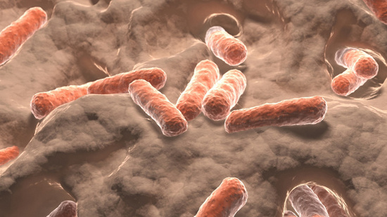 Chất carotenoid trong ruột liên quan đến đột quỵ