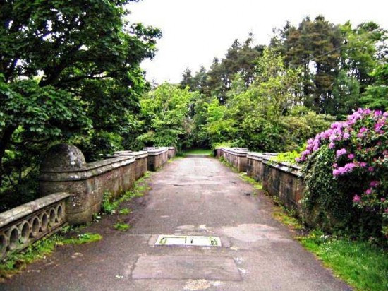 Cầu tự sát của chó ở Scotland