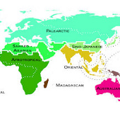 Bản đồ mới về phân bố động vật trên toàn cầu