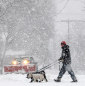 Mỹ: 16 người chết vì giá lạnh và bão tuyết