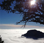 Video: Biển sương mù phủ quanh hẻm núi Grand Canyon