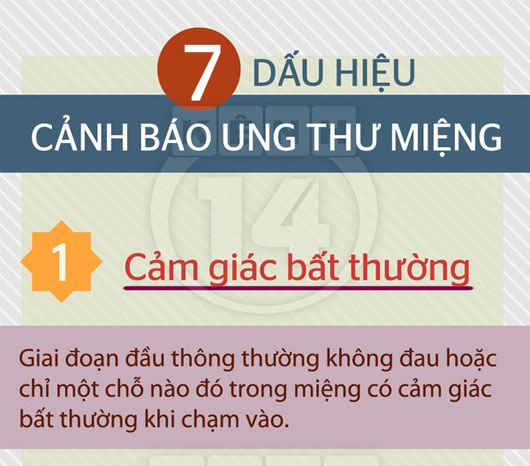 7 dấu hiệu 