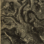 Tìm thấy bằng chứng về sự tồn tại của thủy quái Kraken