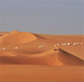 Động vật hoang dã ở Sahara ngày càng ít 