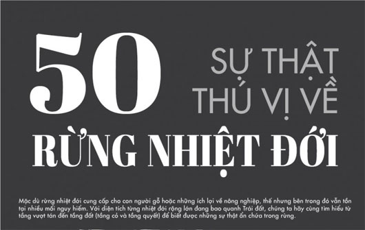50 sự thật về rừng nhiệt đới