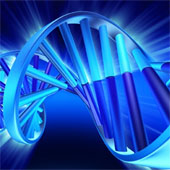 Mật mã ngầm trong ADN