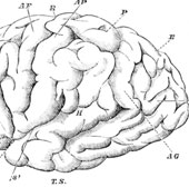 Liên Xô từng chi 1 tỷ USD vào thử nghiệm kiểm soát trí não con người