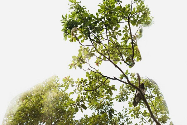Kỹ thuật phơi sáng chồng 