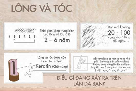 50 sự thật về da