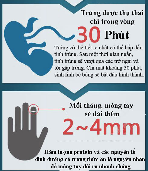 Chu kỳ hoạt động của các bộ phận trong cơ thể