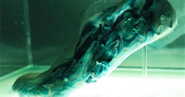 Mẫu giày có thể tự tái tạo sau 1 đêm