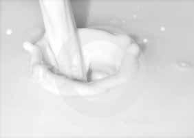 Uống sữa có lợi cho tim