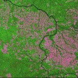 Rừng Amazôn bị tàn phá nặng nề