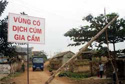Bệnh nhân nghi nhiễm H5N1 ở Bắc Giang tái sốt cao