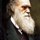 Charles Darwin và Tác Phẩm “Nguồn Gốc của các Chủng Loại”