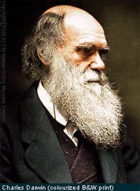 Charles Darwin và Tác Phẩm “Nguồn Gốc của các Chủng Loại”