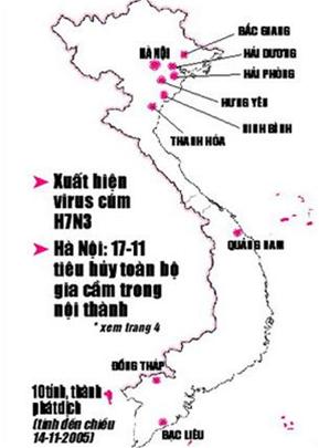 Dịch cúm gia cầm phát triển nhanh trên diện rộng