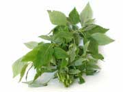 Chữa cảm cúm bằng xông và tắm hơi thuốc
