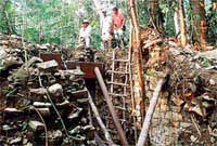Dấu tích cuộc thảm sát kinh hoàng thời Maya
