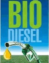 Dầu diesel từ mỡ gà