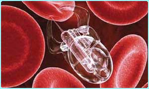 Thế kỷ 21: Thế kỷ của Công nghệ nano