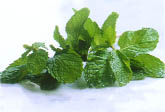 Chọn thảo mộc để xông hơi