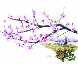 Món ăn từ hoa đào