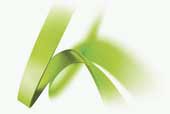 Adobe sửa chữa lỗ hổng cho một loạt sản phẩm