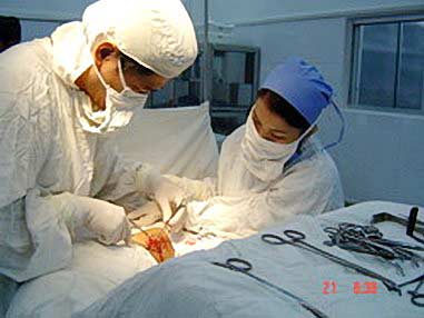 Người có hai giới tính