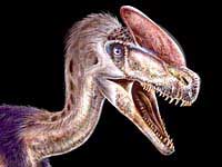 Tìm thấy họ hàng lâu đời nhất của T.rex