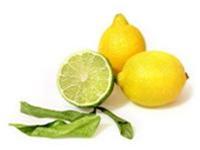 Thuốc nam chữa viêm tắc thanh quản