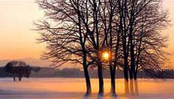 Thiếu Vitamin D, đàn ông dễ mắc ung thư