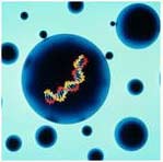 Dùng estrogen trong thời gian dài làm tăng nguy cơ ung thư vú