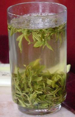 Khỏe mạnh với trà xanh