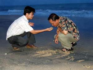 Bờ biển Hàm Tiến - Mũi Né: “Chất đen” từ đâu ra?