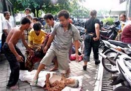 Indonesia: Số nạn nhân chết do động đất lên hơn 3.500 người