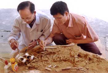 Phát hiện một cách khâm liệm độc đáo ở Tuyên Quang