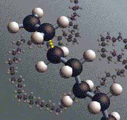 Thiết bị polymer cải tiến có thể ngửi mùi thuốc nổ và bom