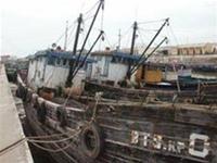40.000 tàu đánh cá sẽ thành... san hô?