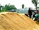 Thiết bị lọc nước sạch từ vỏ trấu