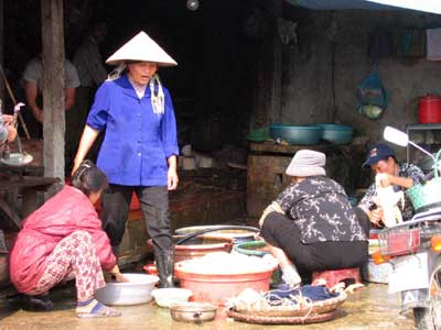 Bộ Y tế cảnh báo: Có nguy cơ H5N1 biến chủng