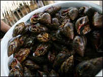 Cảnh giác với đồ ăn tươi sống
