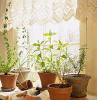 Ánh nắng giúp ngăn chặn cơn buồn ngủ